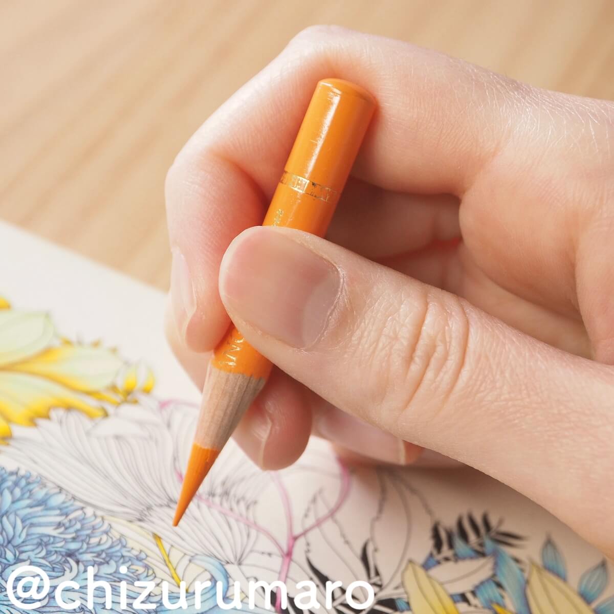 f:id:chizurumaro:20190528205011j:plain f:id:chizurumaro:20190528205011j:plain