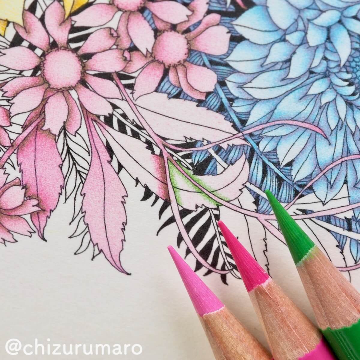 f:id:chizurumaro:20190902153233j:plain f:id:chizurumaro:20190902153233j:plain