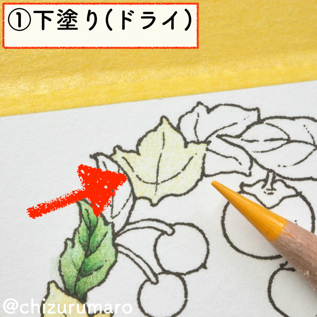 f:id:chizurumaro:20200217142044j:plain f:id:chizurumaro:20200217142044j:plain