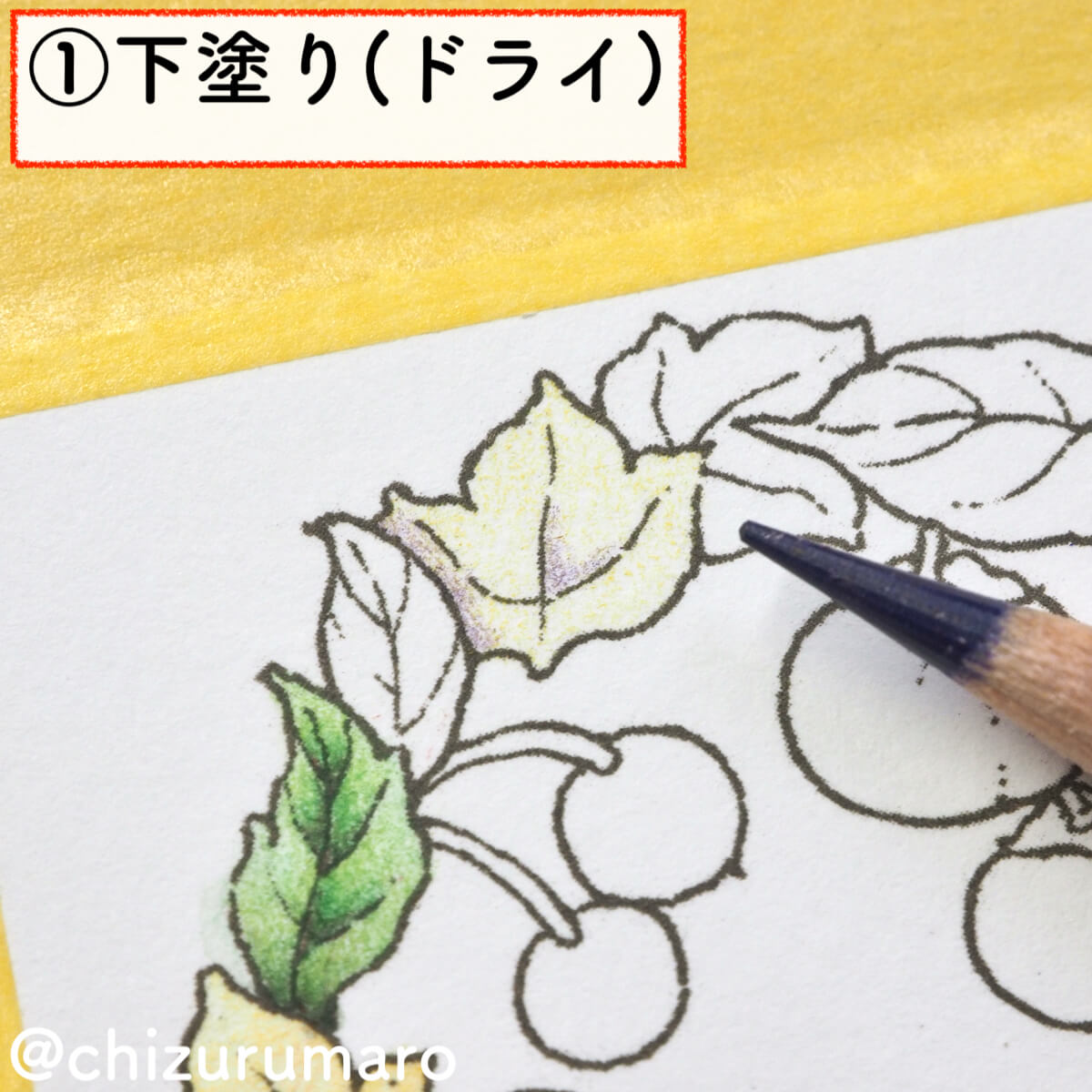 f:id:chizurumaro:20200217142855j:plain f:id:chizurumaro:20200217142855j:plain