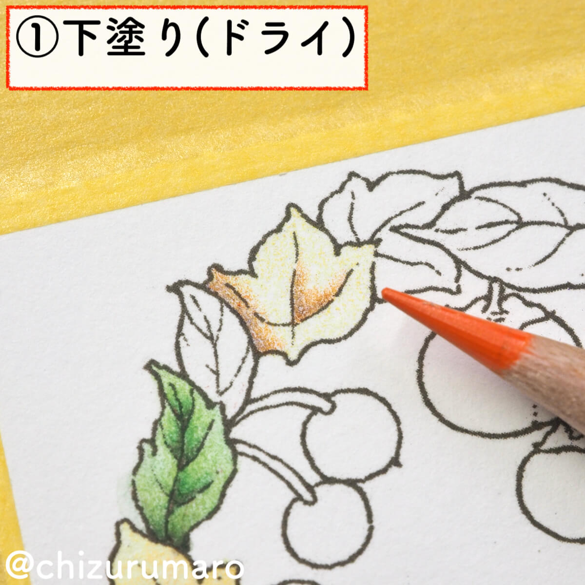 f:id:chizurumaro:20200217143014j:plain f:id:chizurumaro:20200217143014j:plain