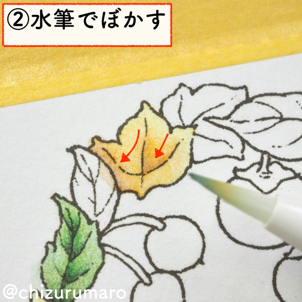 f:id:chizurumaro:20200217143226j:plain f:id:chizurumaro:20200217143226j:plain