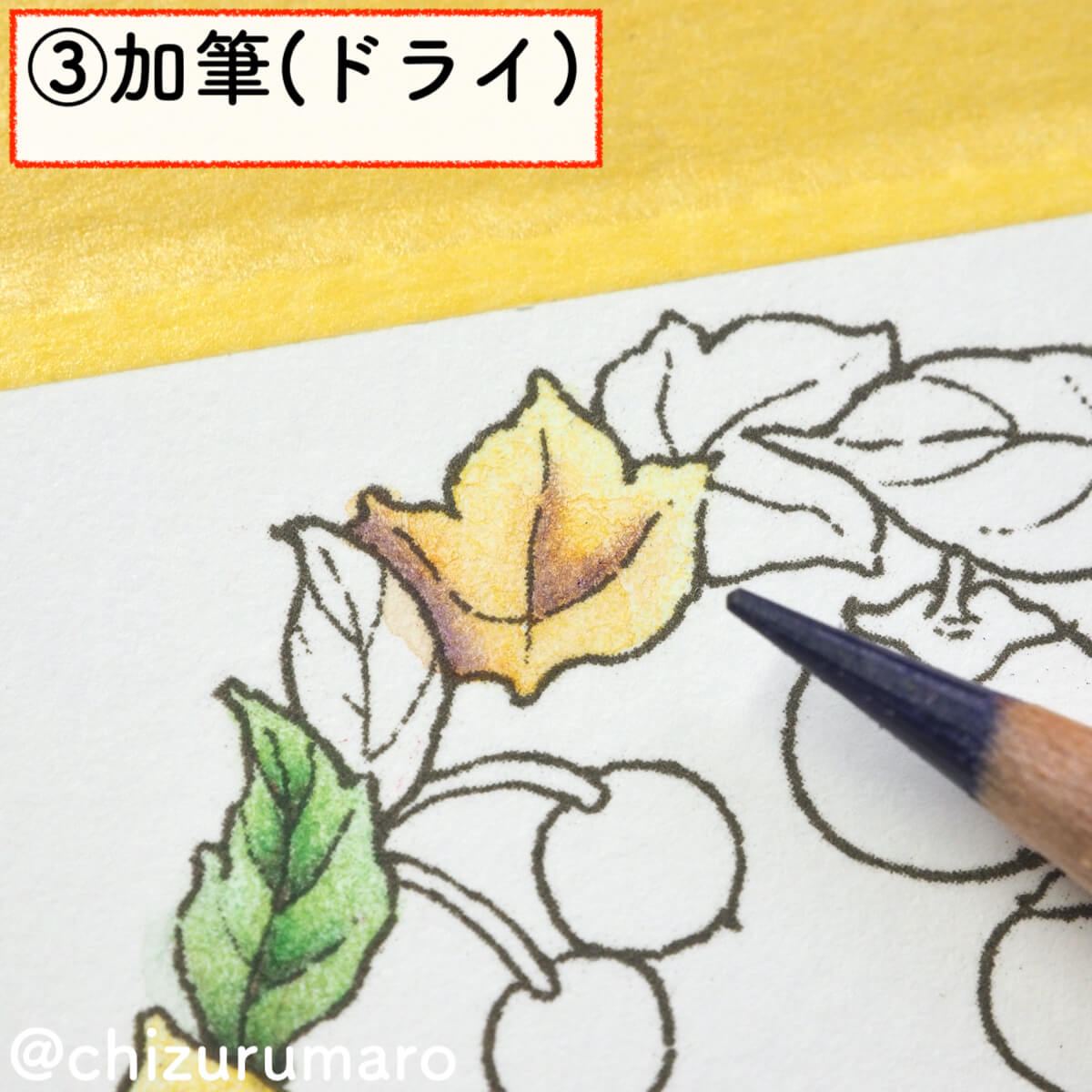 f:id:chizurumaro:20200217143710j:plain f:id:chizurumaro:20200217143710j:plain