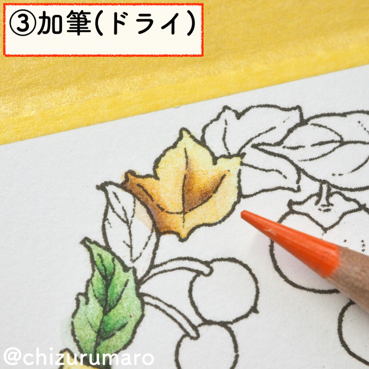 f:id:chizurumaro:20200217143934j:plain f:id:chizurumaro:20200217143934j:plain
