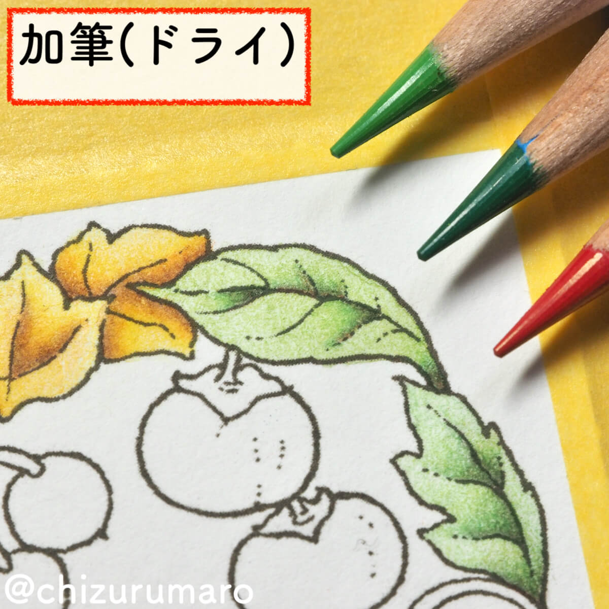 f:id:chizurumaro:20200217145300j:plain f:id:chizurumaro:20200217145300j:plain