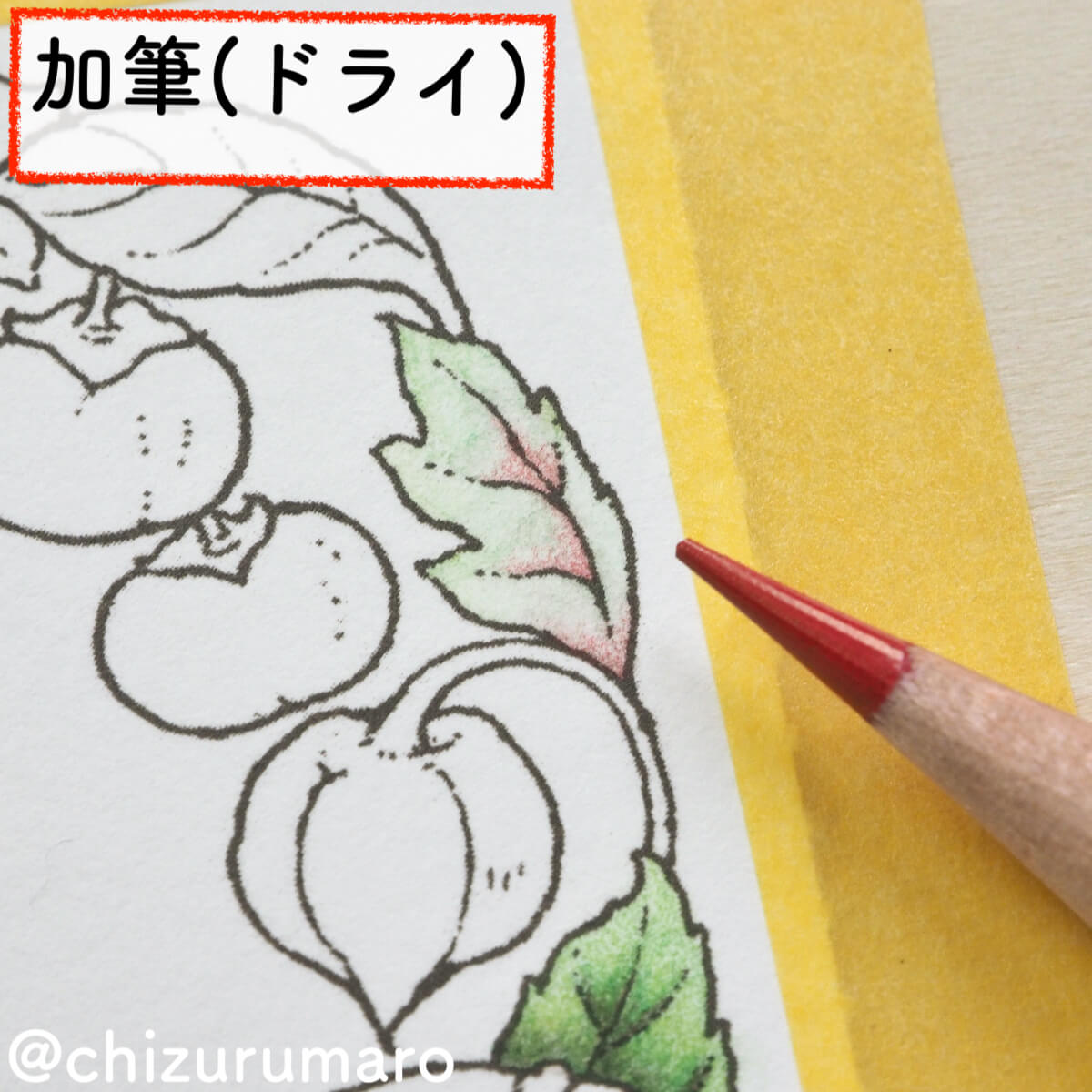 f:id:chizurumaro:20200217145431j:plain f:id:chizurumaro:20200217145431j:plain