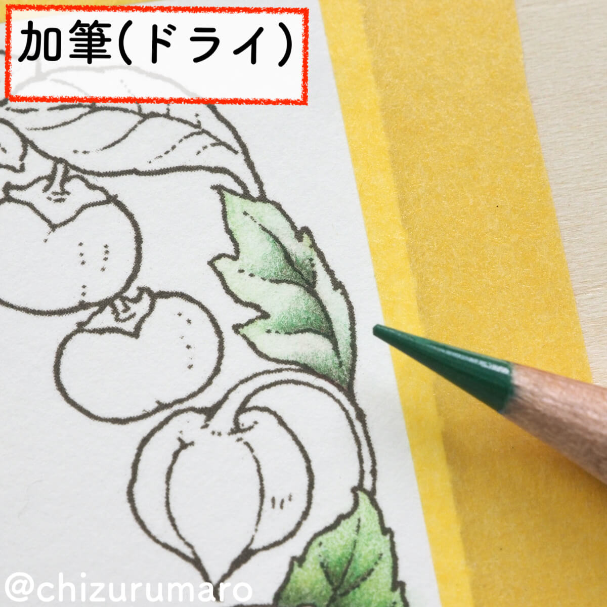f:id:chizurumaro:20200217145629j:plain f:id:chizurumaro:20200217145629j:plain