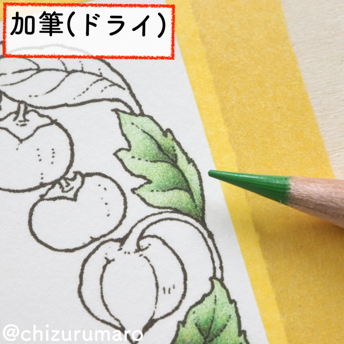 f:id:chizurumaro:20200217145723j:plain f:id:chizurumaro:20200217145723j:plain
