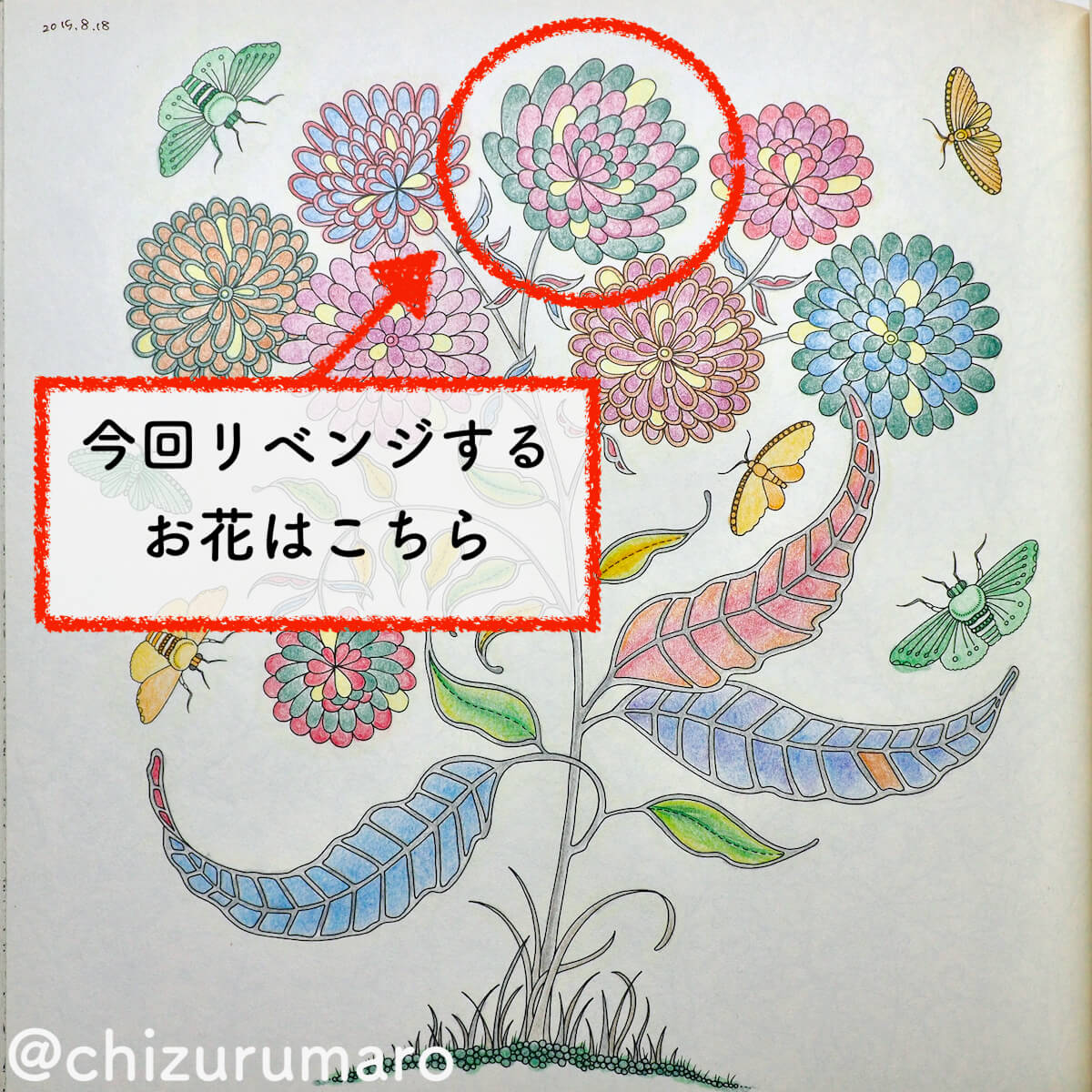 f:id:chizurumaro:20200319124038j:plain