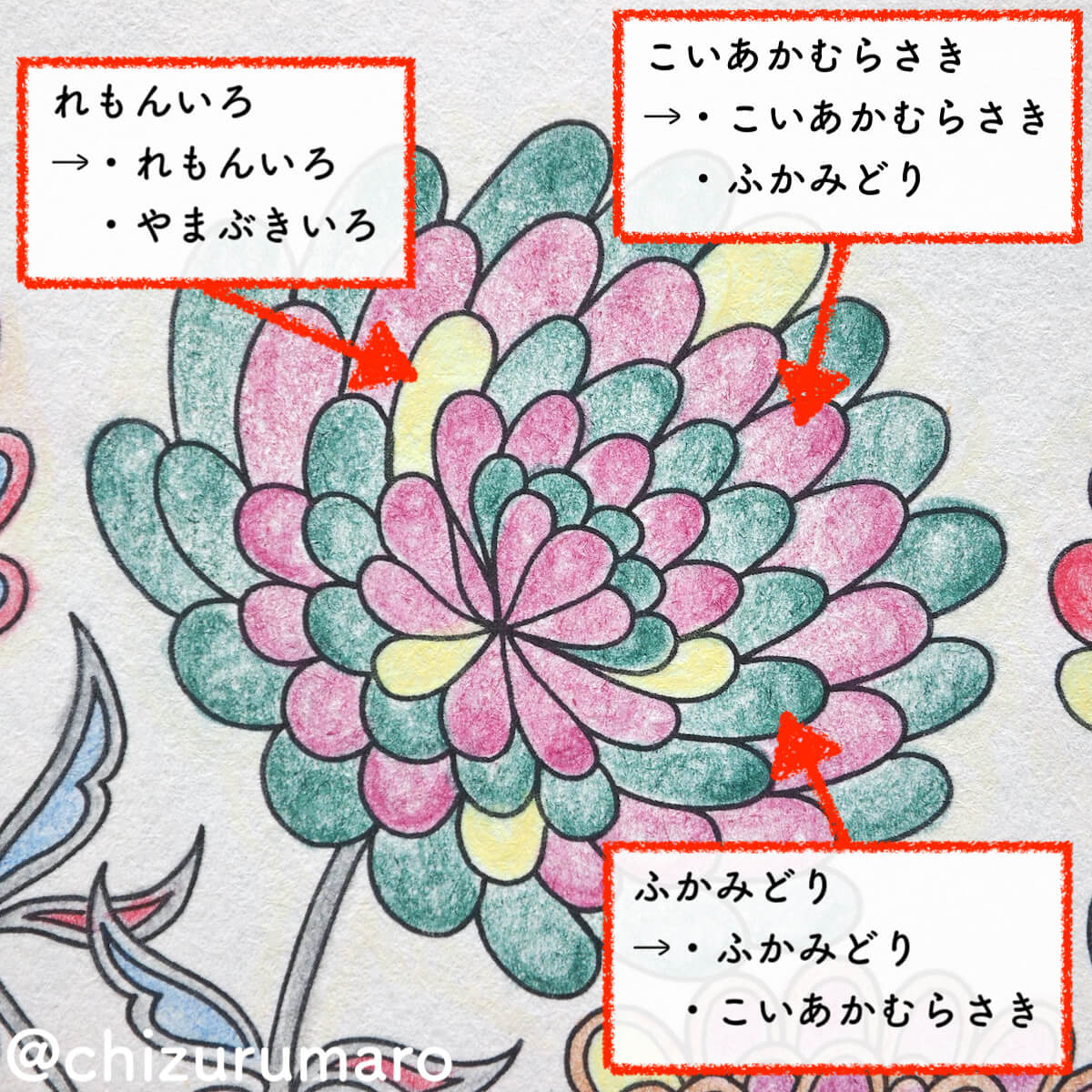 f:id:chizurumaro:20200319124216j:plain