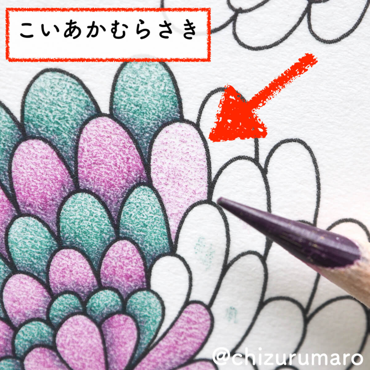 f:id:chizurumaro:20200319124833j:plain