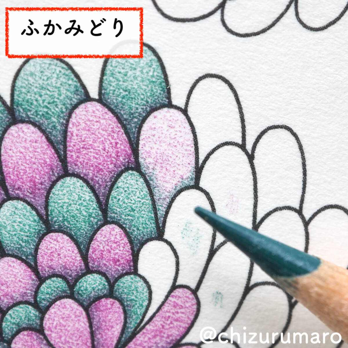 f:id:chizurumaro:20200319124947j:plain