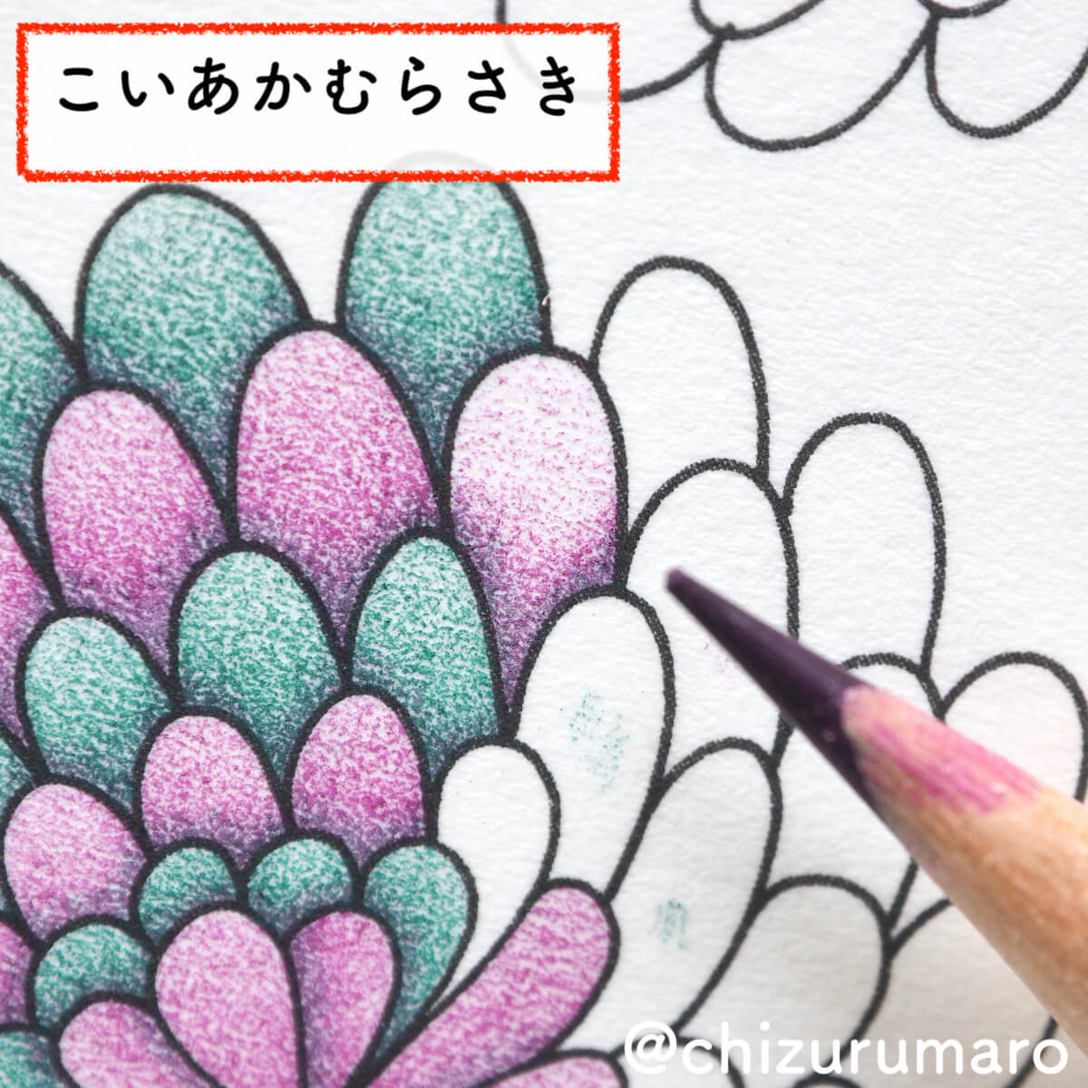 f:id:chizurumaro:20200319125027j:plain