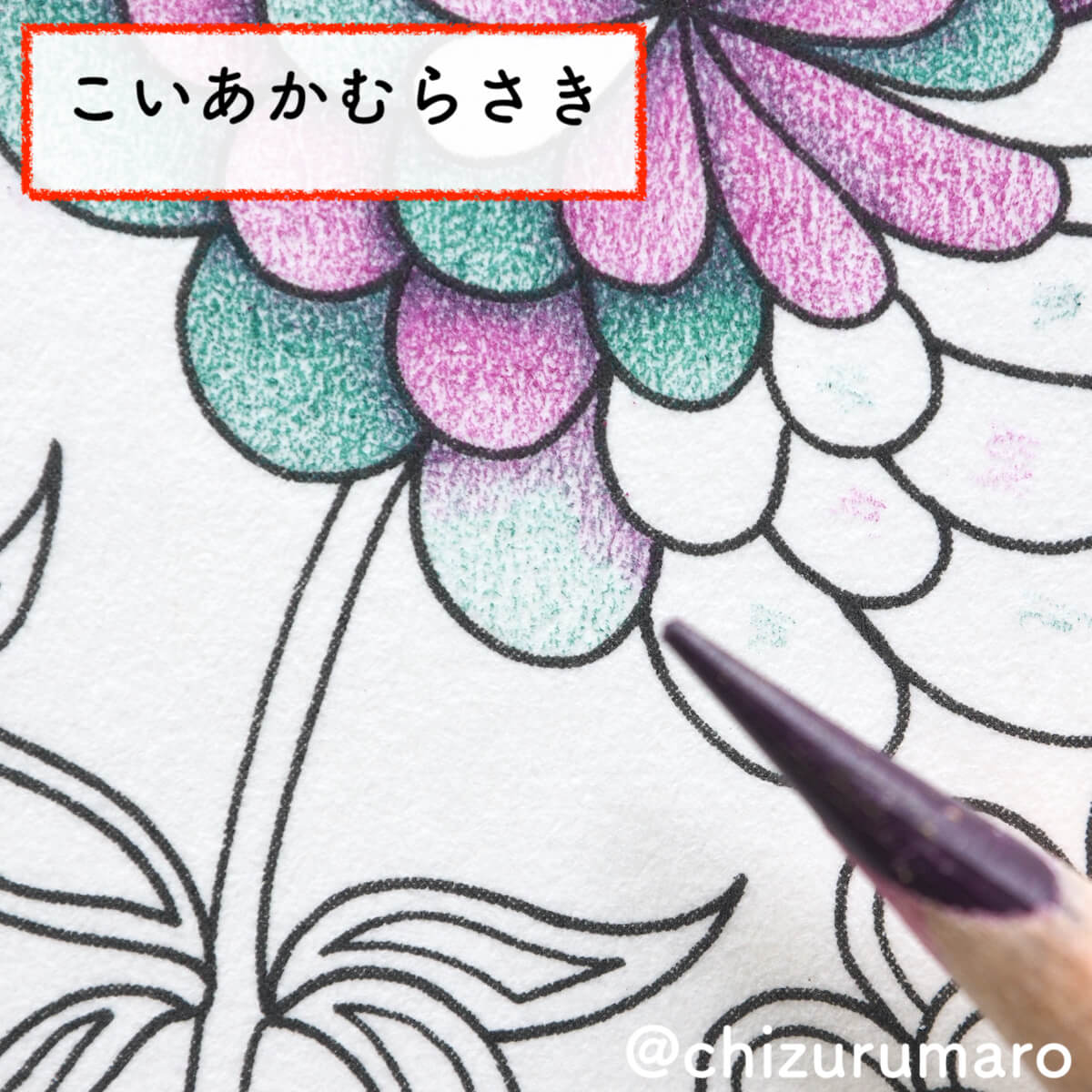 f:id:chizurumaro:20200319130007j:plain