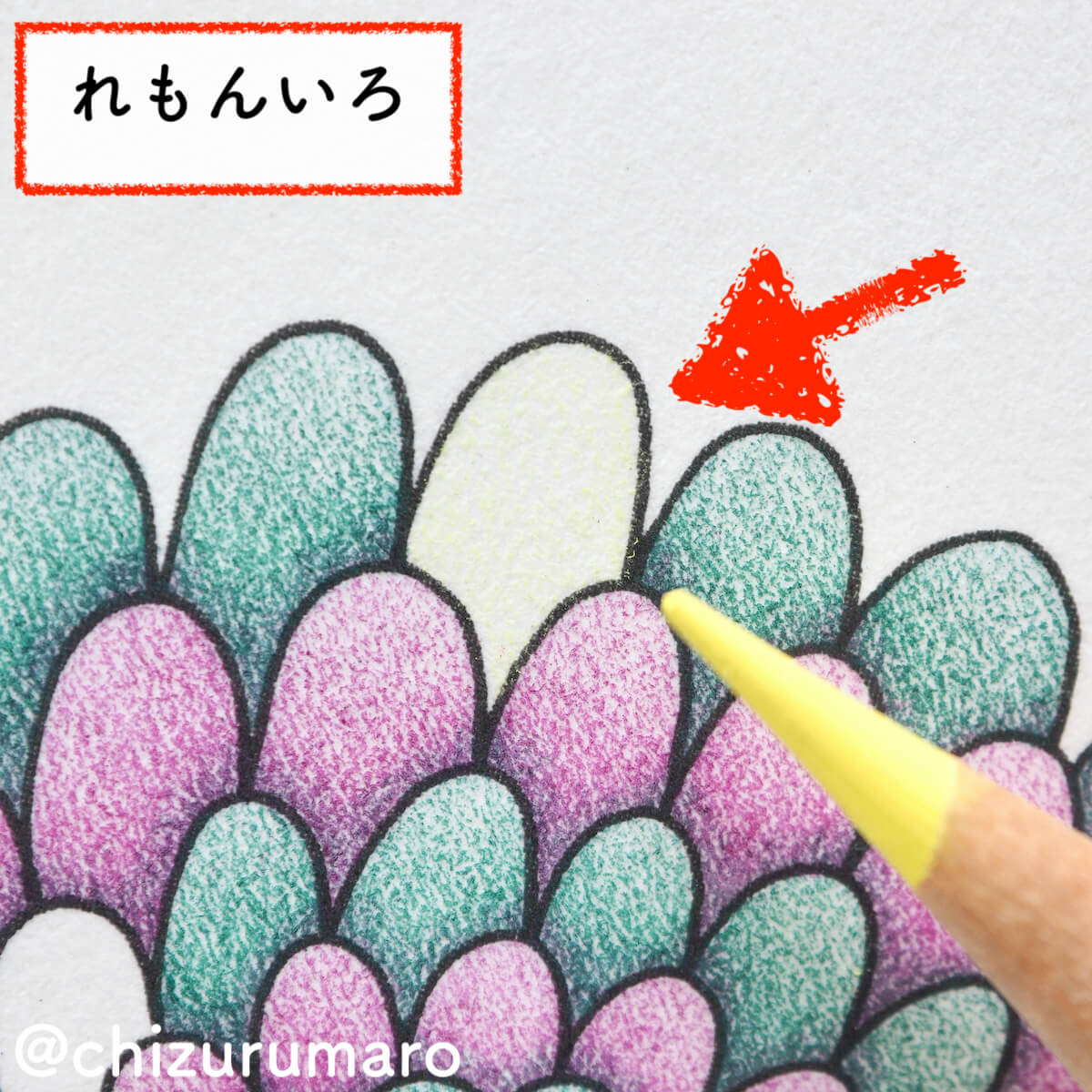 f:id:chizurumaro:20200319130851j:plain