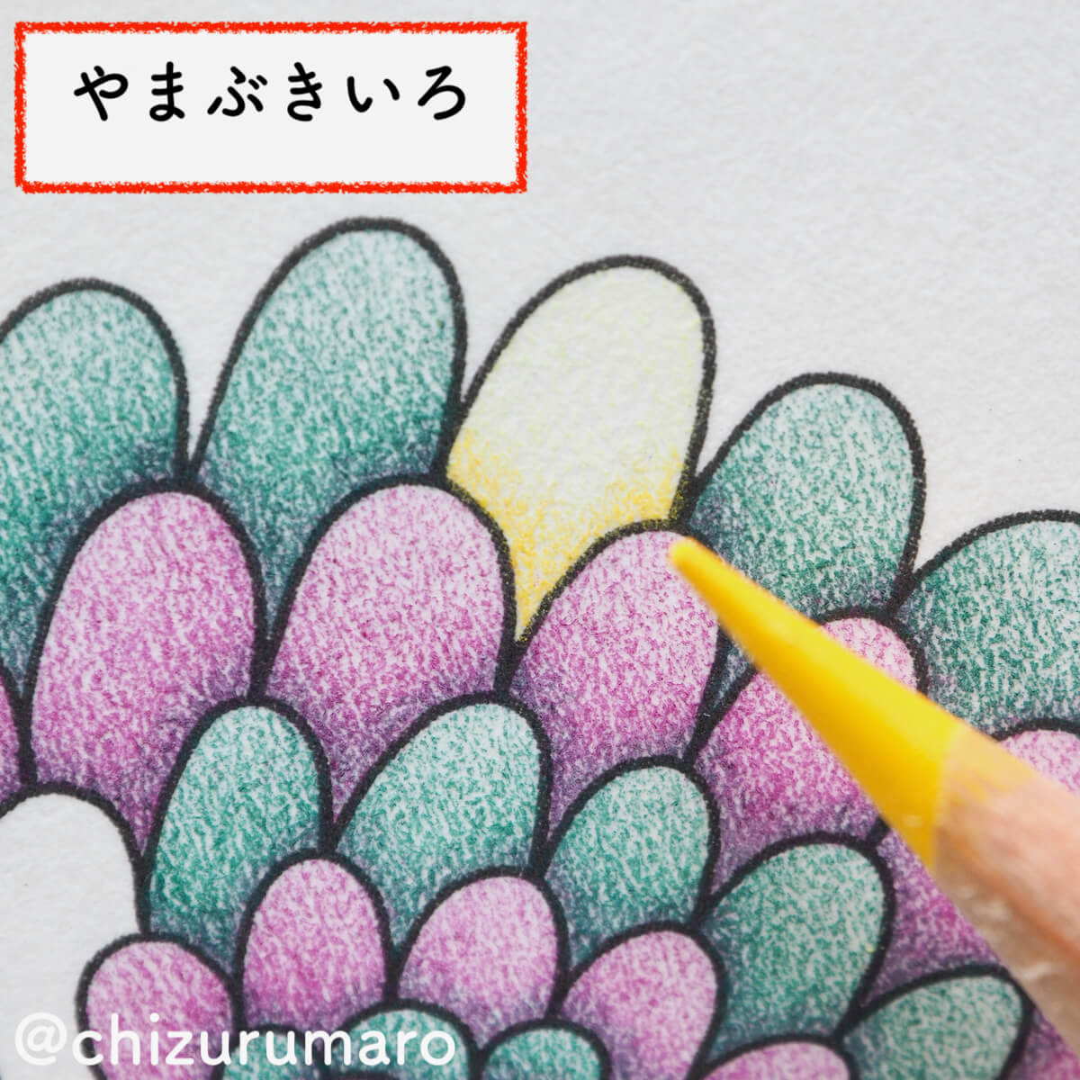 f:id:chizurumaro:20200319130957j:plain