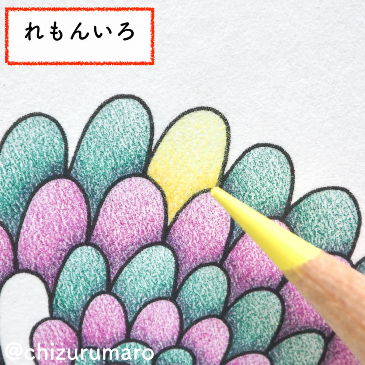 f:id:chizurumaro:20200319131135j:plain