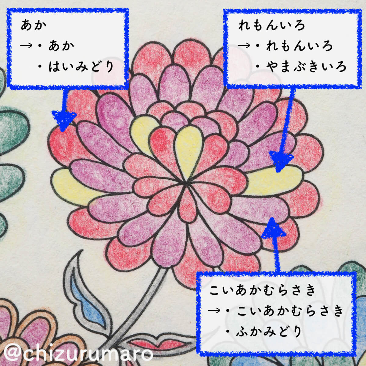 f:id:chizurumaro:20200326113505j:plain