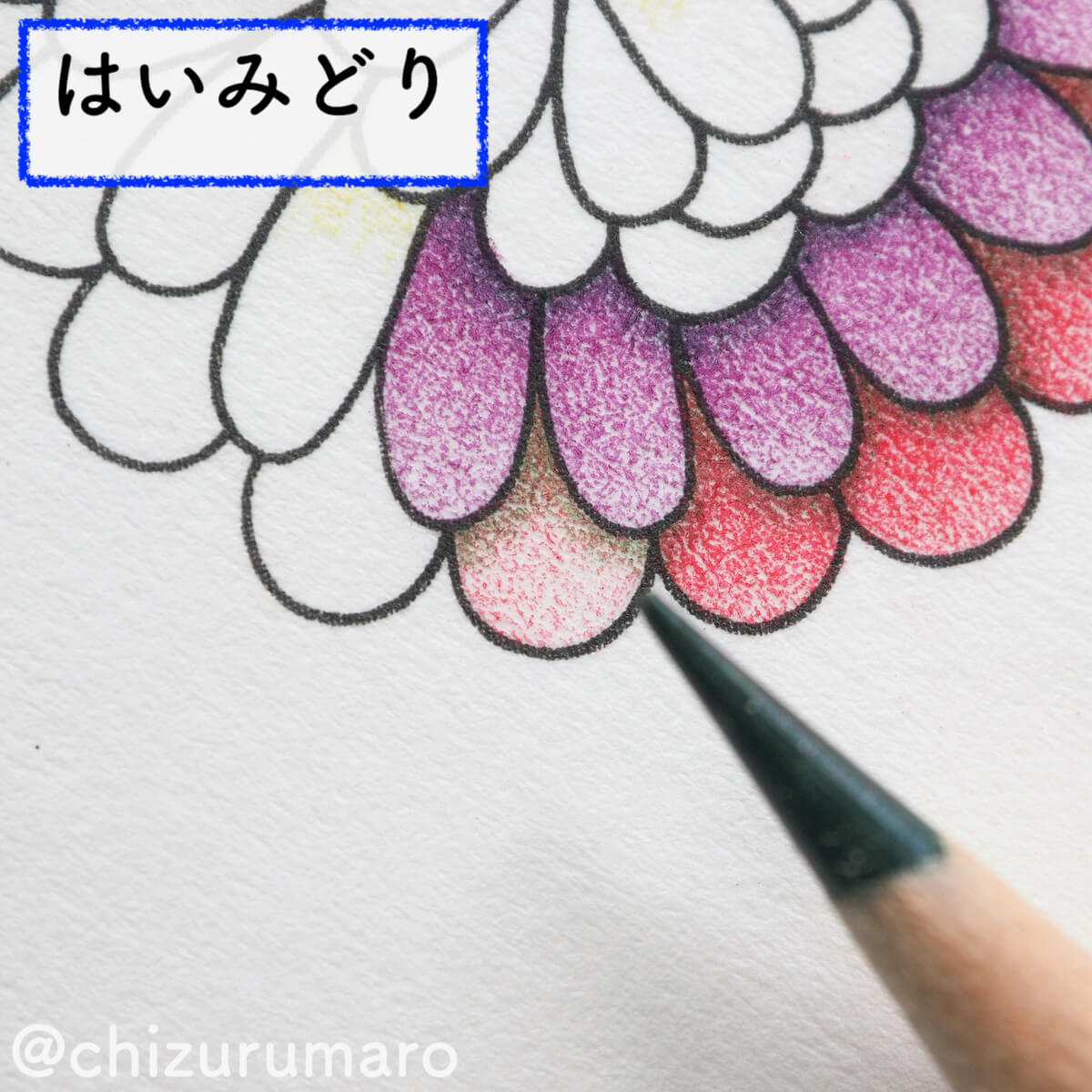 f:id:chizurumaro:20200326115008j:plain