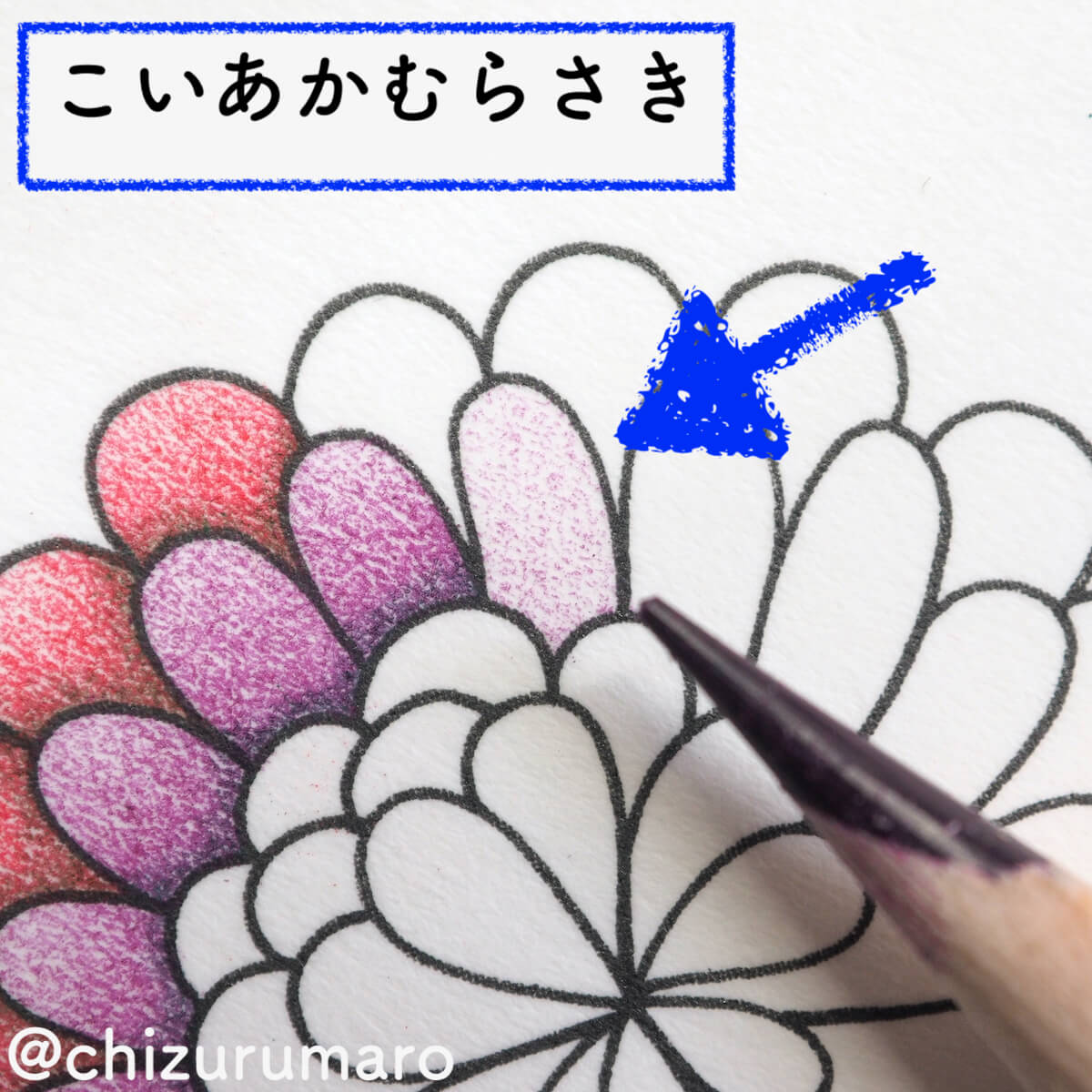 f:id:chizurumaro:20200326115038j:plain