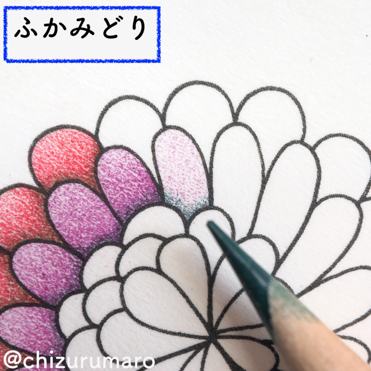 f:id:chizurumaro:20200326115054j:plain