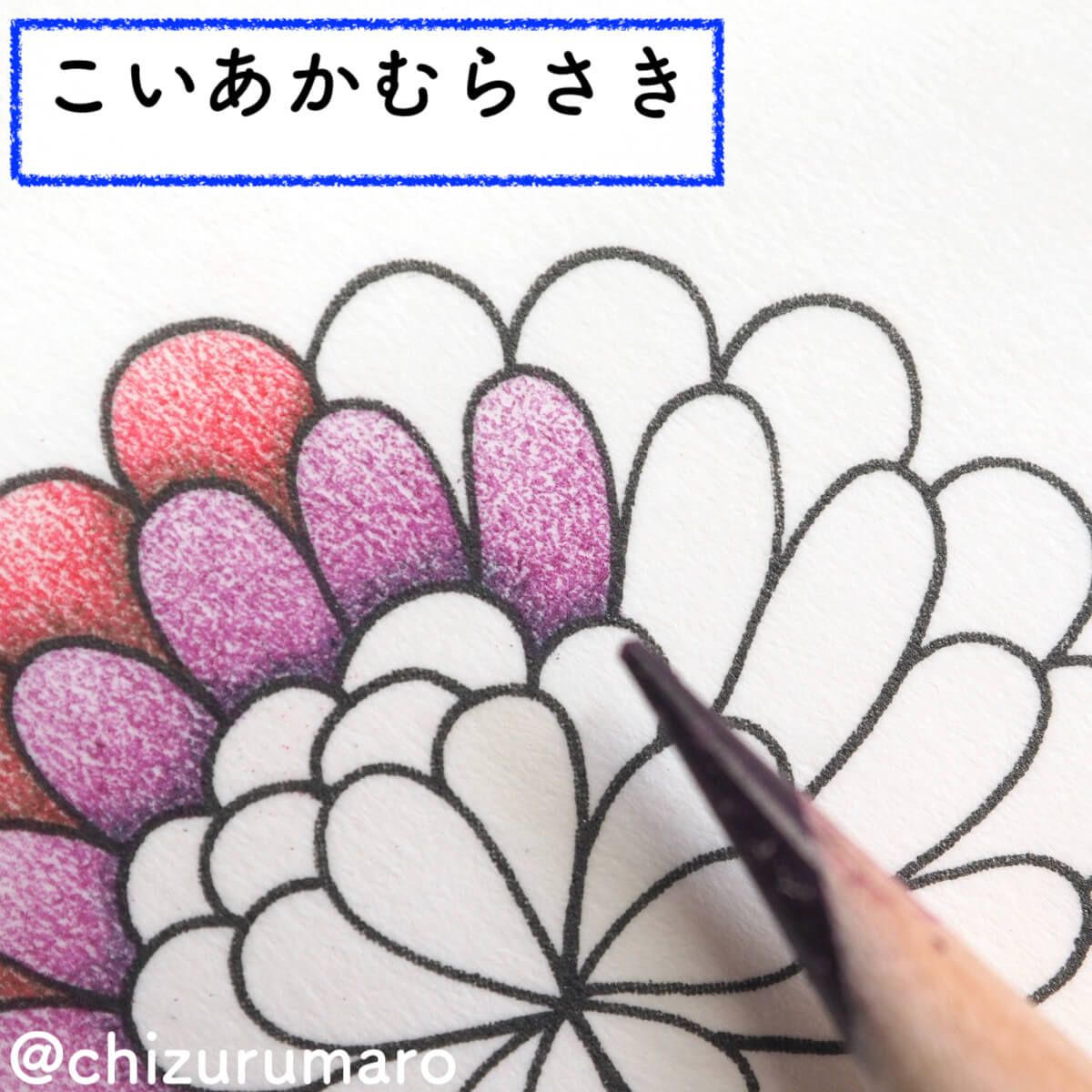 f:id:chizurumaro:20200326115104j:plain