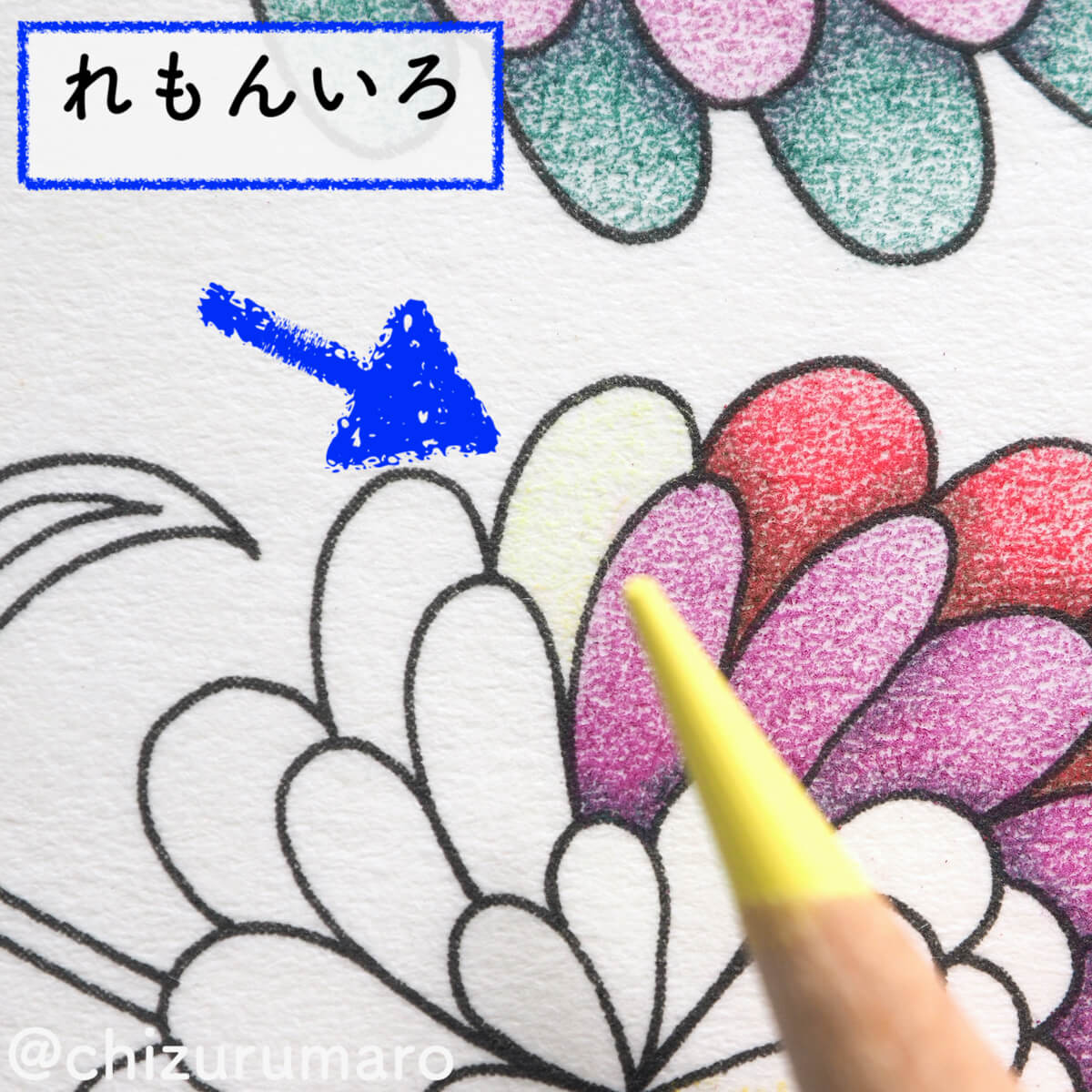 f:id:chizurumaro:20200326115120j:plain