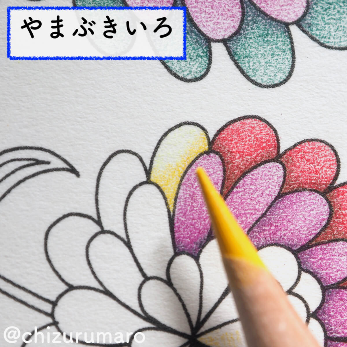 f:id:chizurumaro:20200326115131j:plain