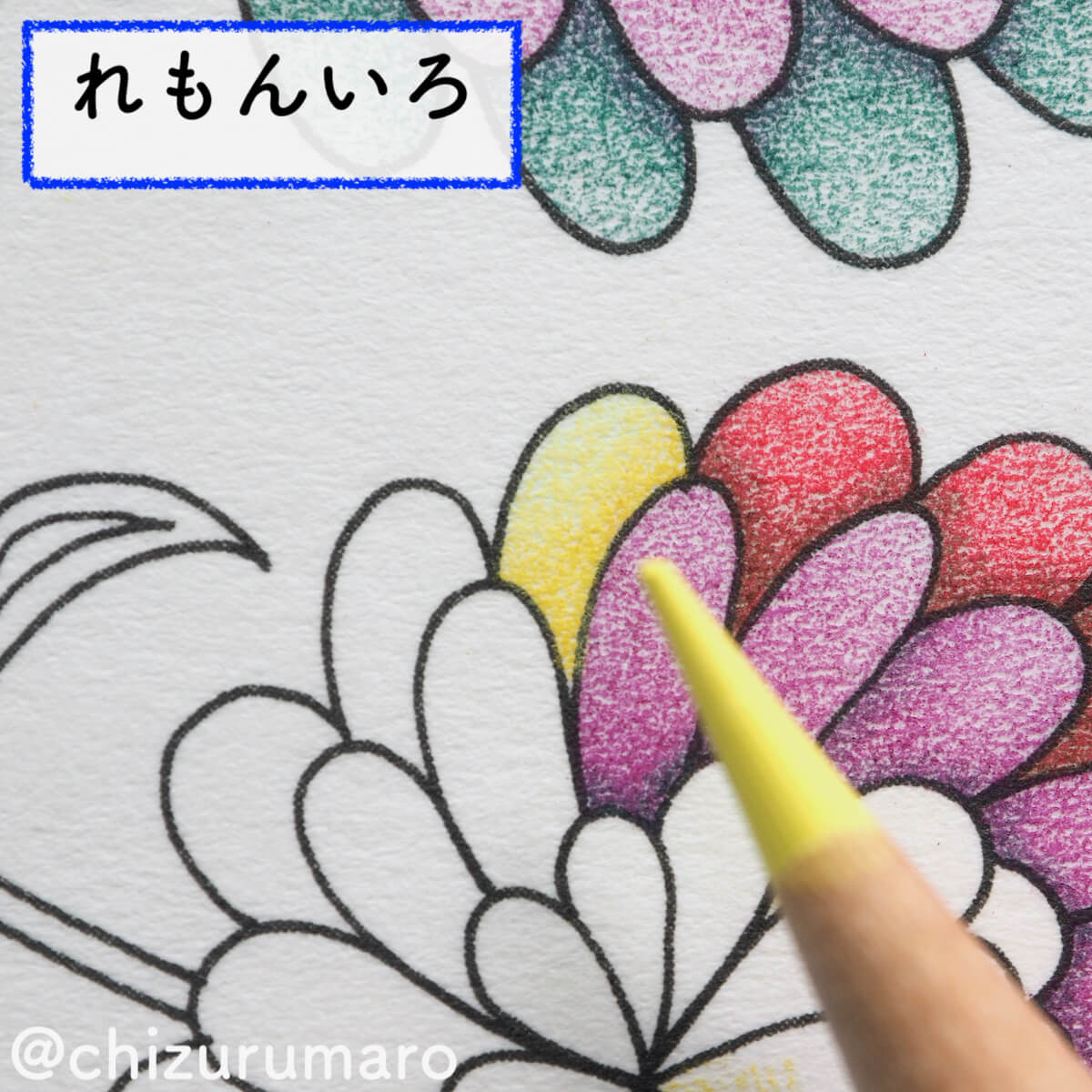 f:id:chizurumaro:20200326115141j:plain