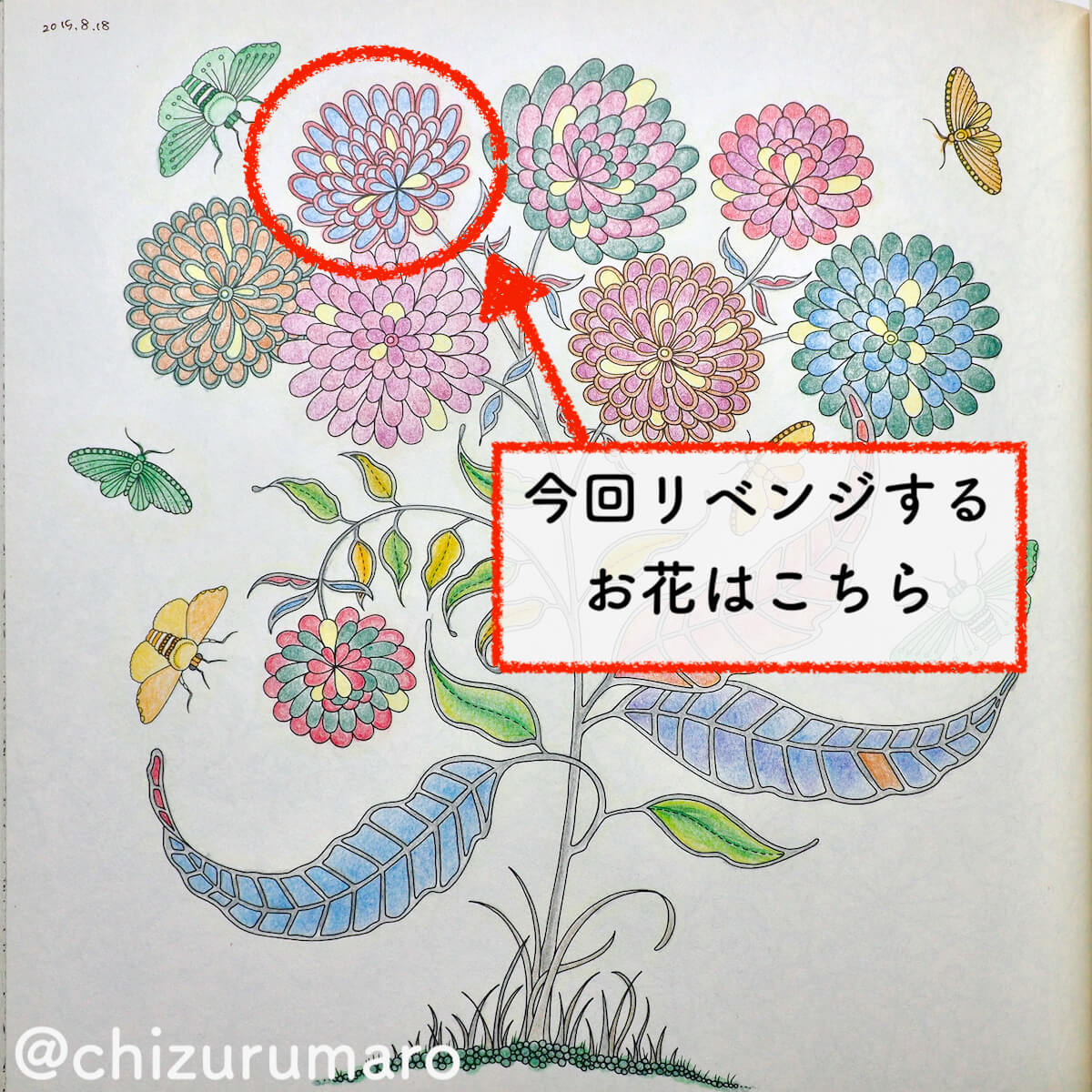 f:id:chizurumaro:20200404105309j:plain f:id:chizurumaro:20200404105309j:plain