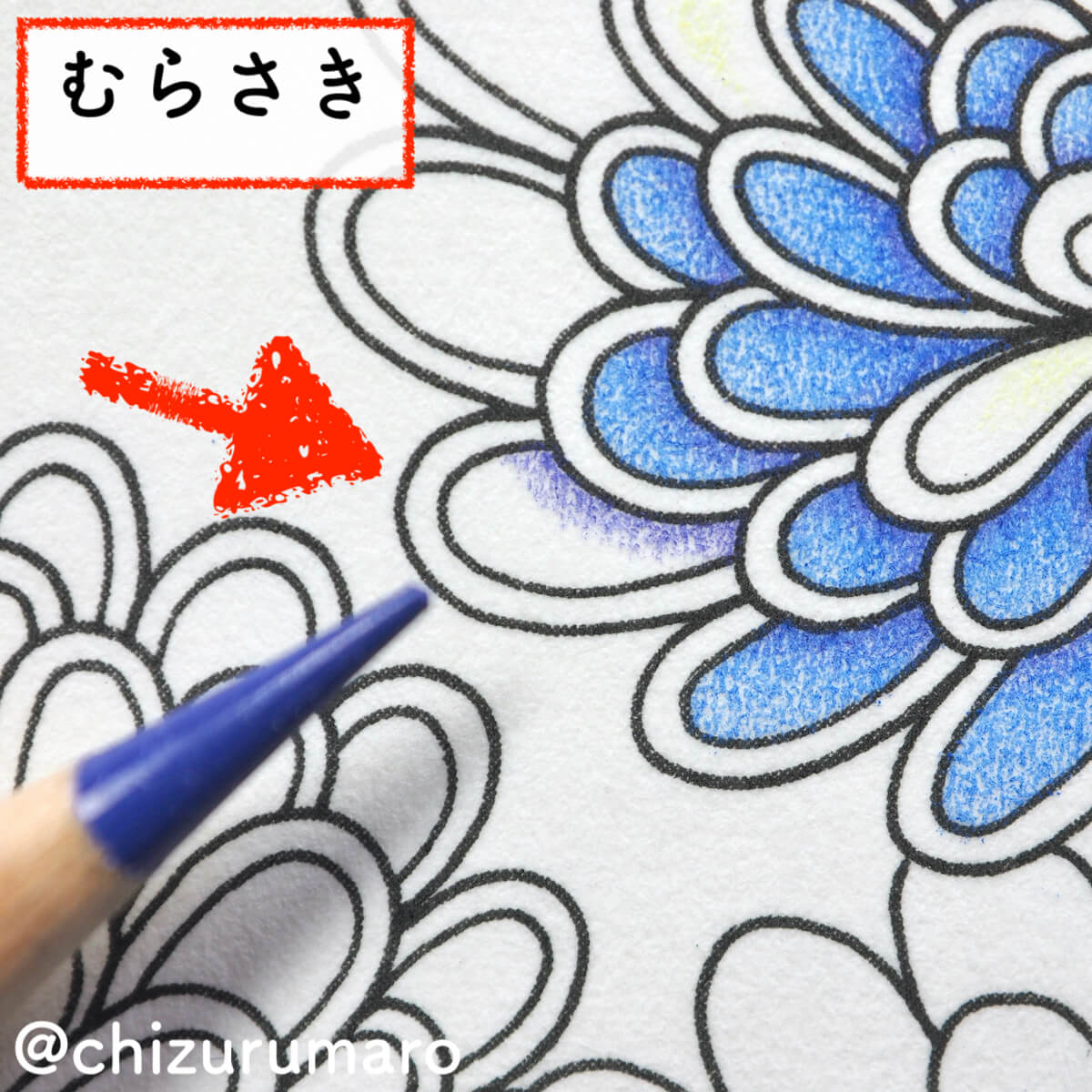 f:id:chizurumaro:20200404105832j:plain f:id:chizurumaro:20200404105832j:plain