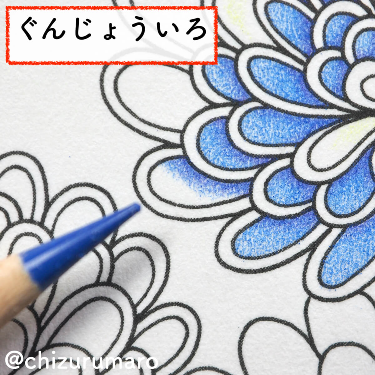 f:id:chizurumaro:20200404105853j:plain f:id:chizurumaro:20200404105853j:plain