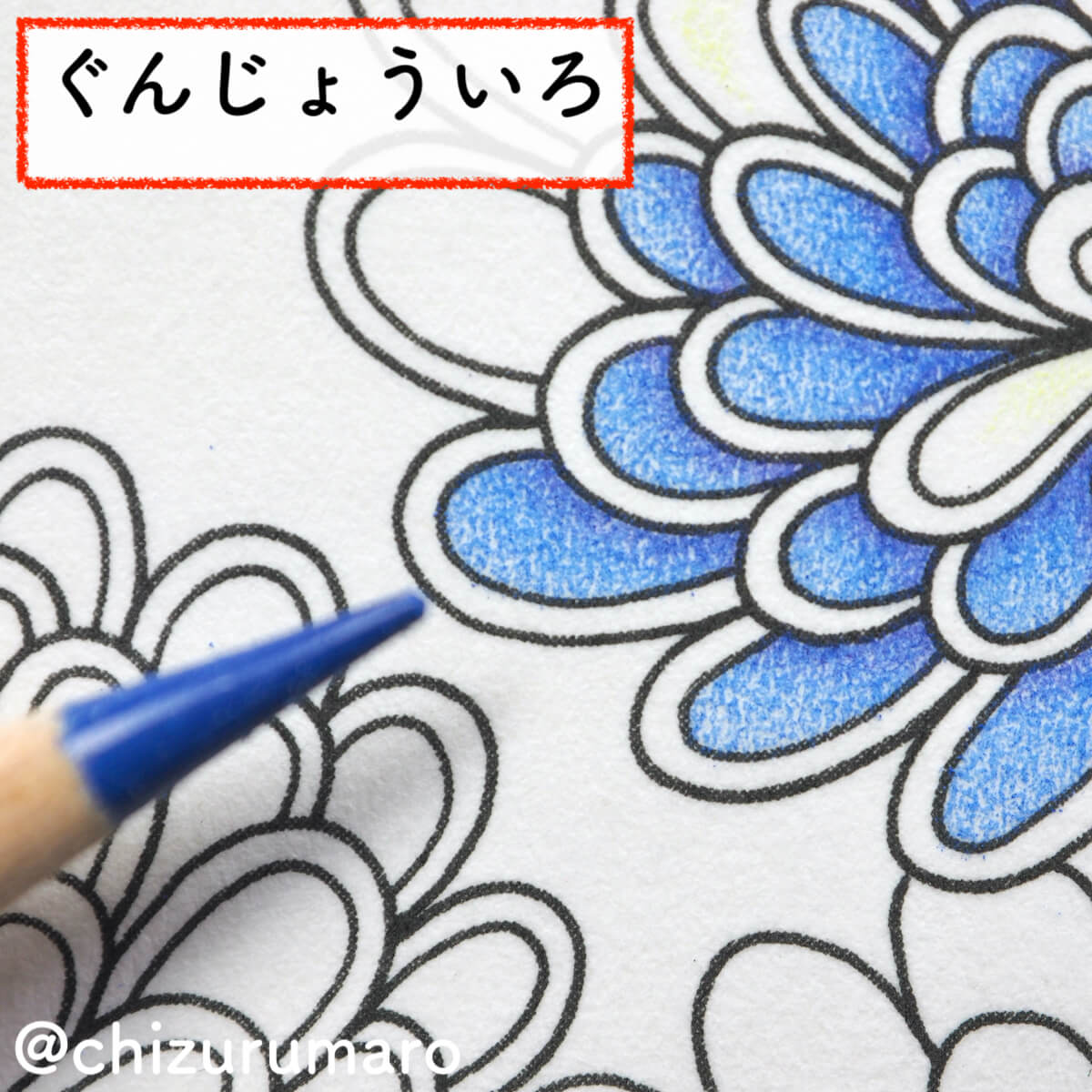f:id:chizurumaro:20200404105904j:plain f:id:chizurumaro:20200404105904j:plain