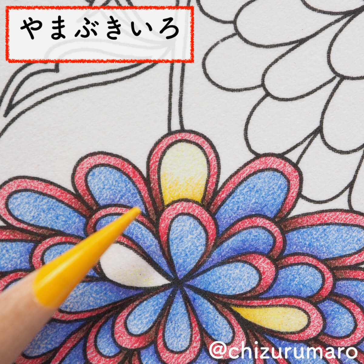 f:id:chizurumaro:20200404113244j:plain f:id:chizurumaro:20200404113244j:plain