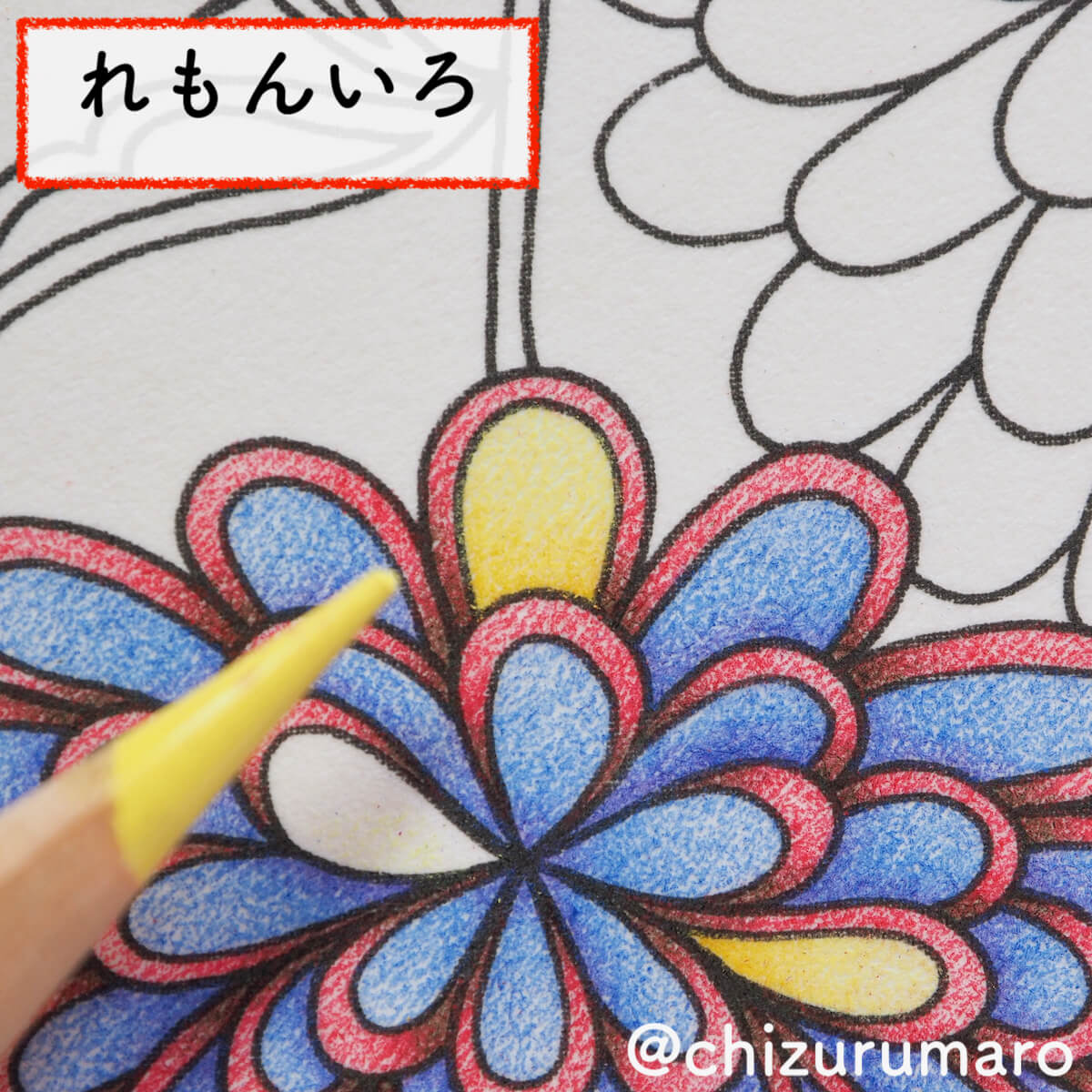 f:id:chizurumaro:20200404113313j:plain f:id:chizurumaro:20200404113313j:plain