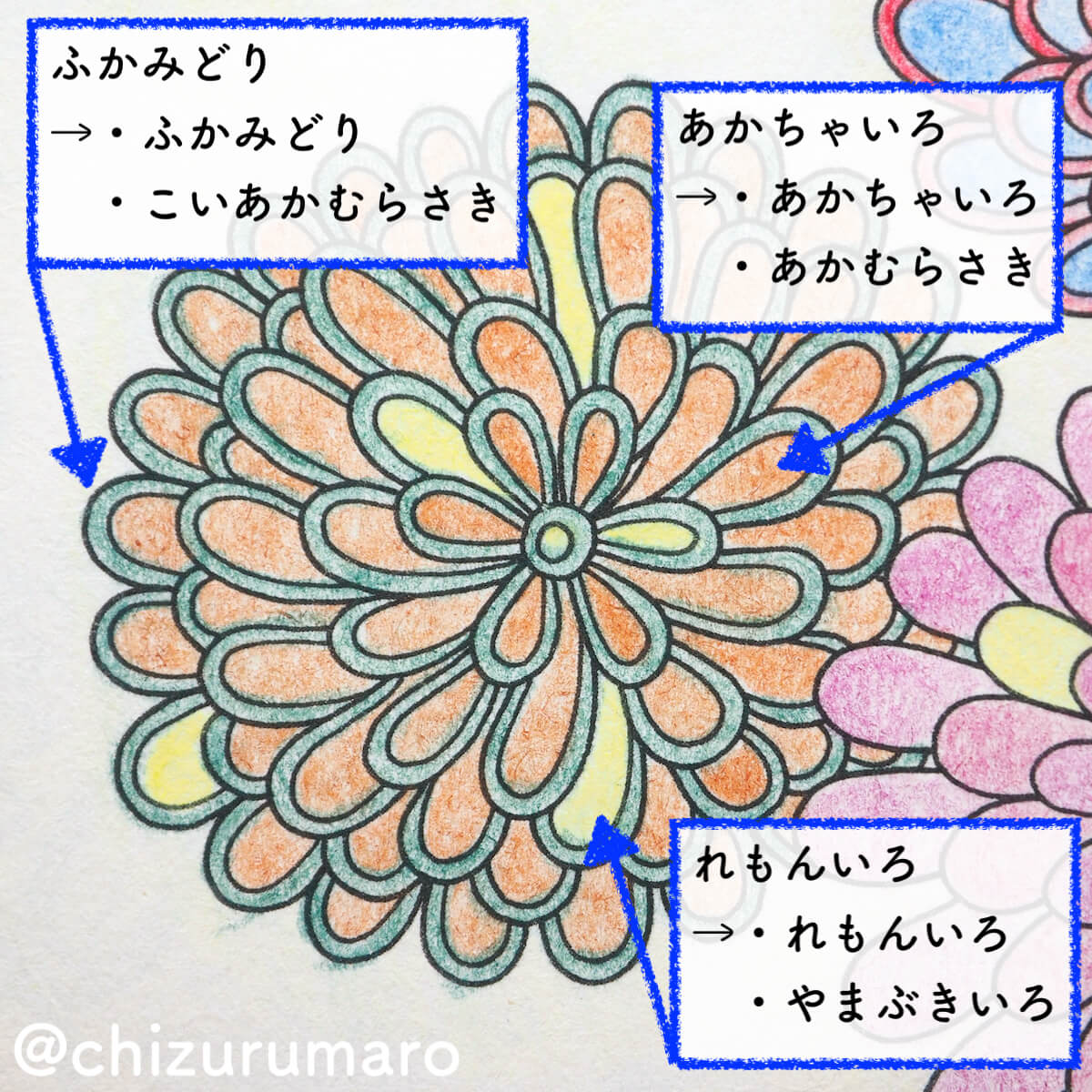 f:id:chizurumaro:20200408142846j:plain