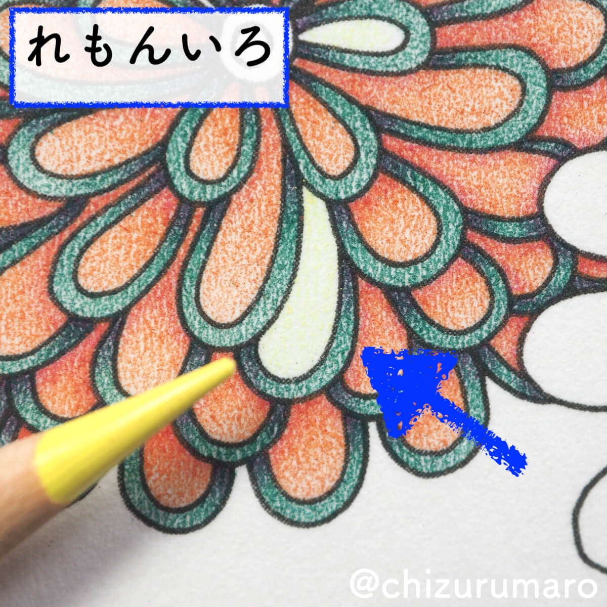 f:id:chizurumaro:20200408143003j:plain