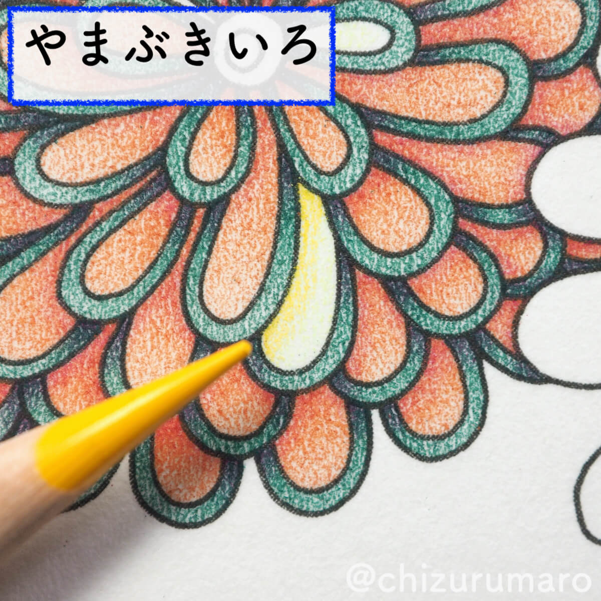f:id:chizurumaro:20200408143016j:plain