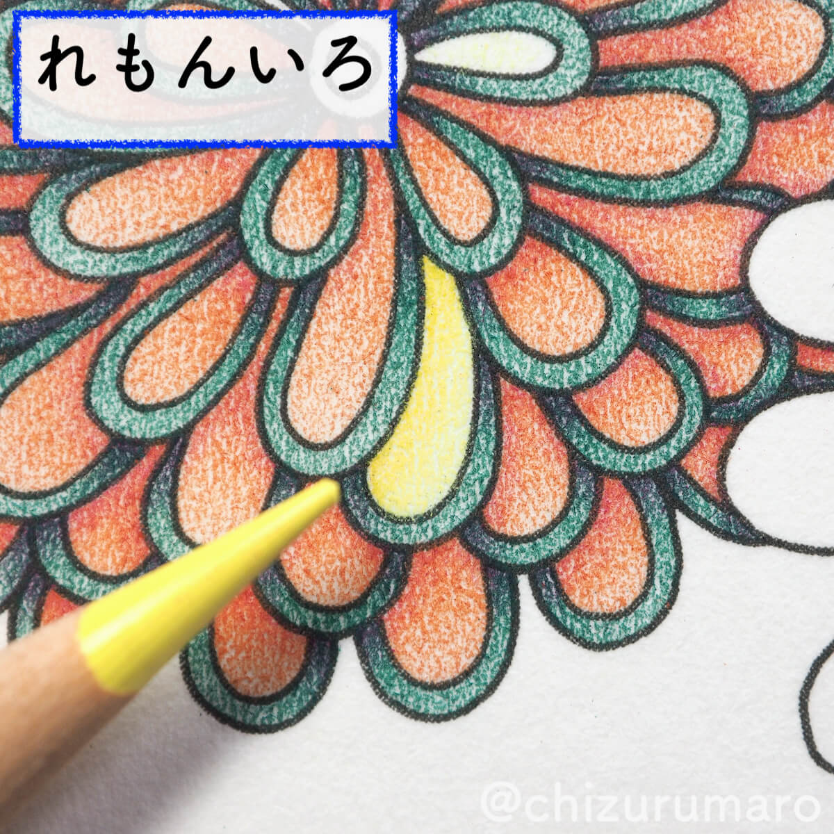 f:id:chizurumaro:20200408143029j:plain