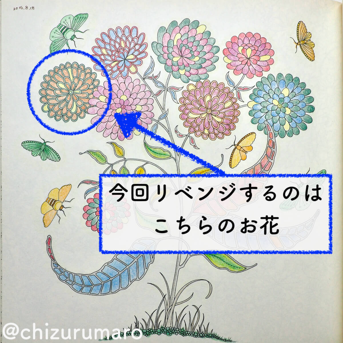 f:id:chizurumaro:20200408143048j:plain