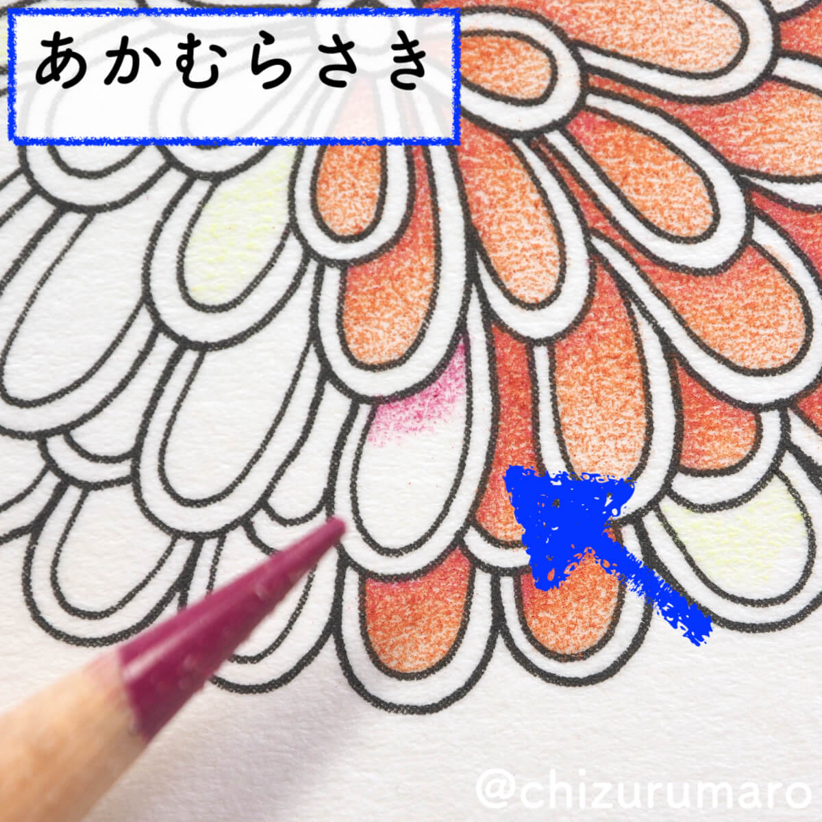 f:id:chizurumaro:20200408143107j:plain