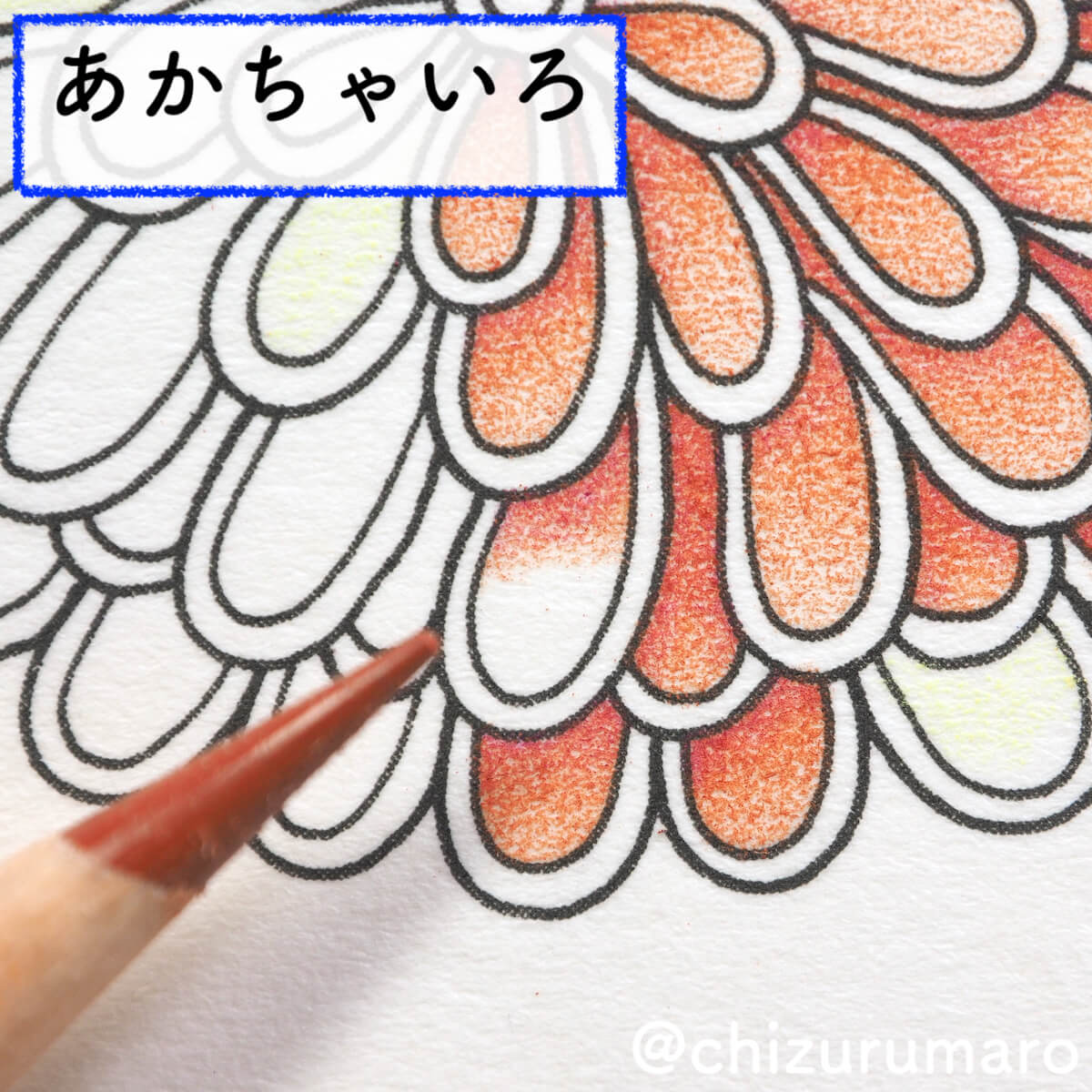 f:id:chizurumaro:20200408143123j:plain