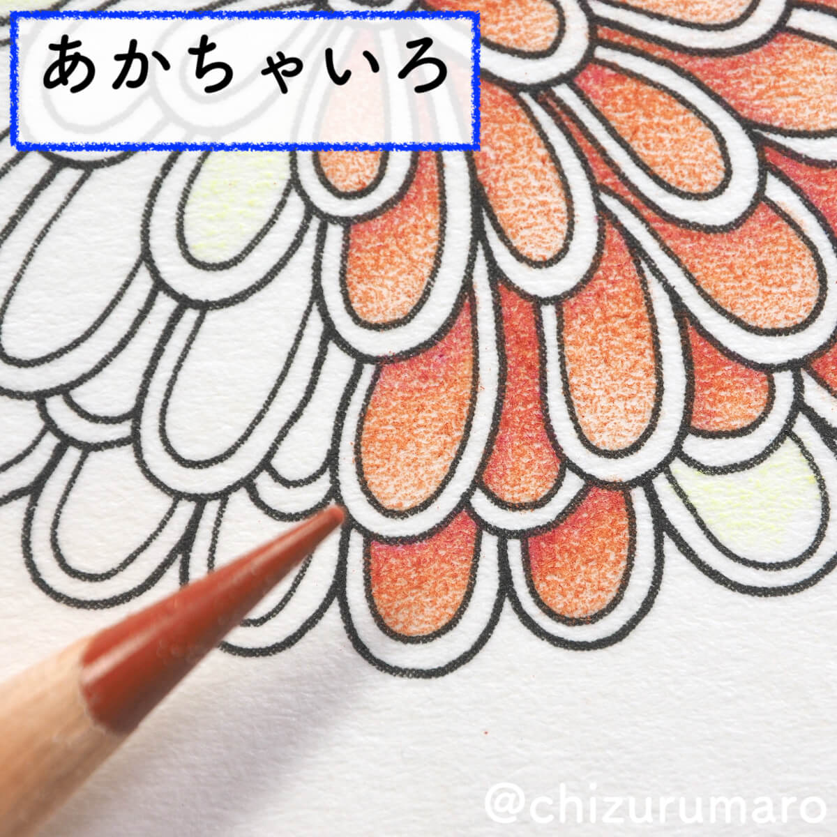 f:id:chizurumaro:20200408143135j:plain