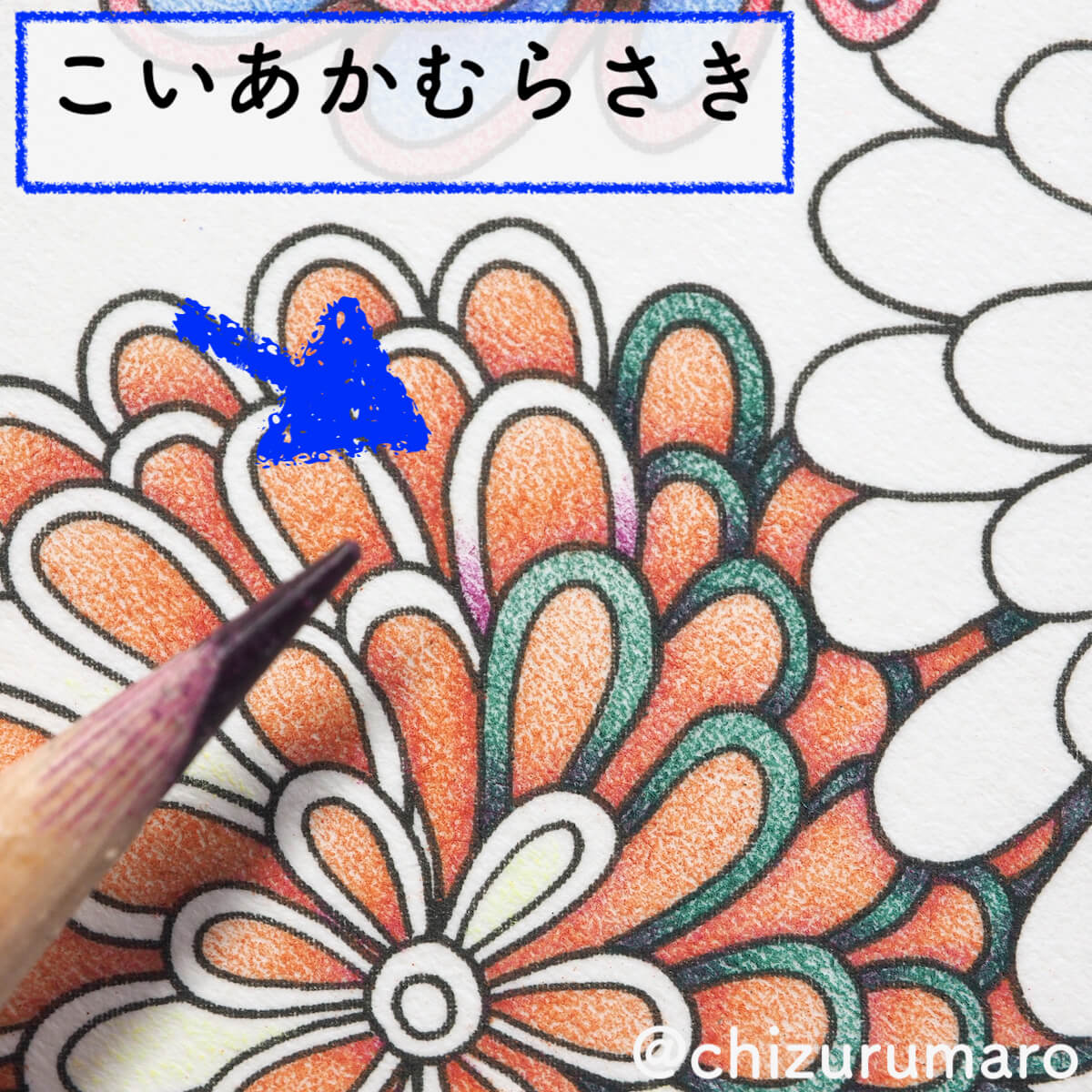 f:id:chizurumaro:20200408143308j:plain