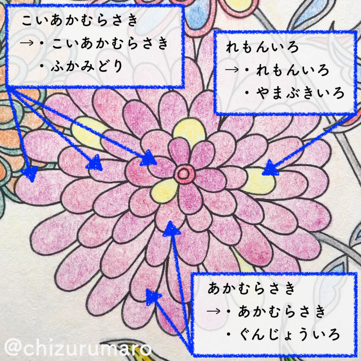 f:id:chizurumaro:20200415162711j:plain