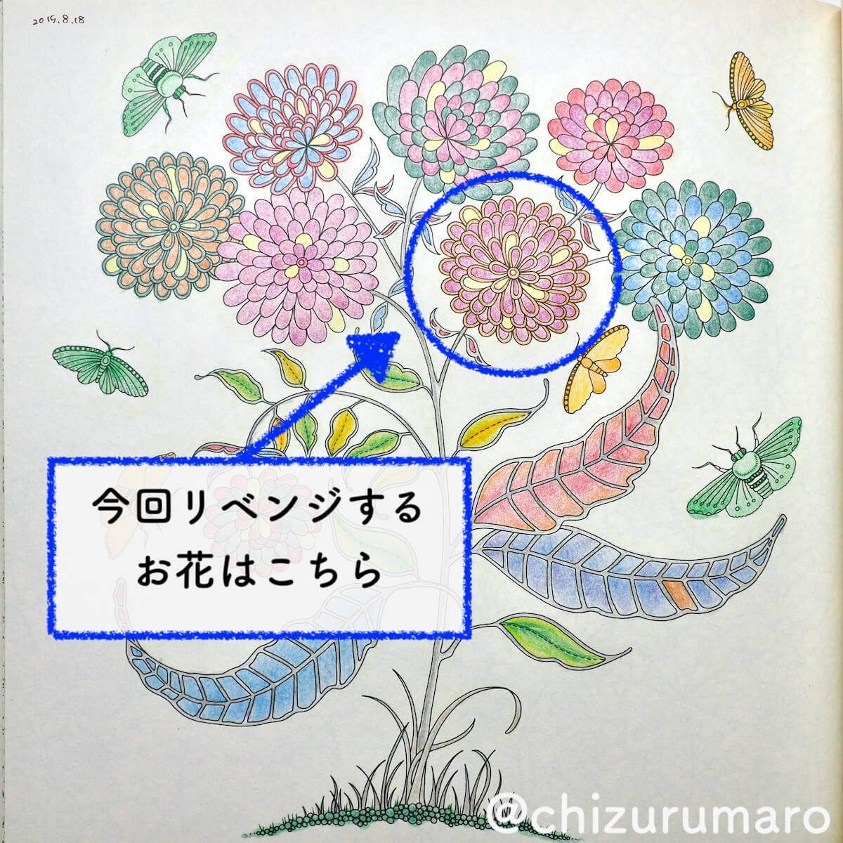 f:id:chizurumaro:20200422152234j:plain f:id:chizurumaro:20200422152234j:plain