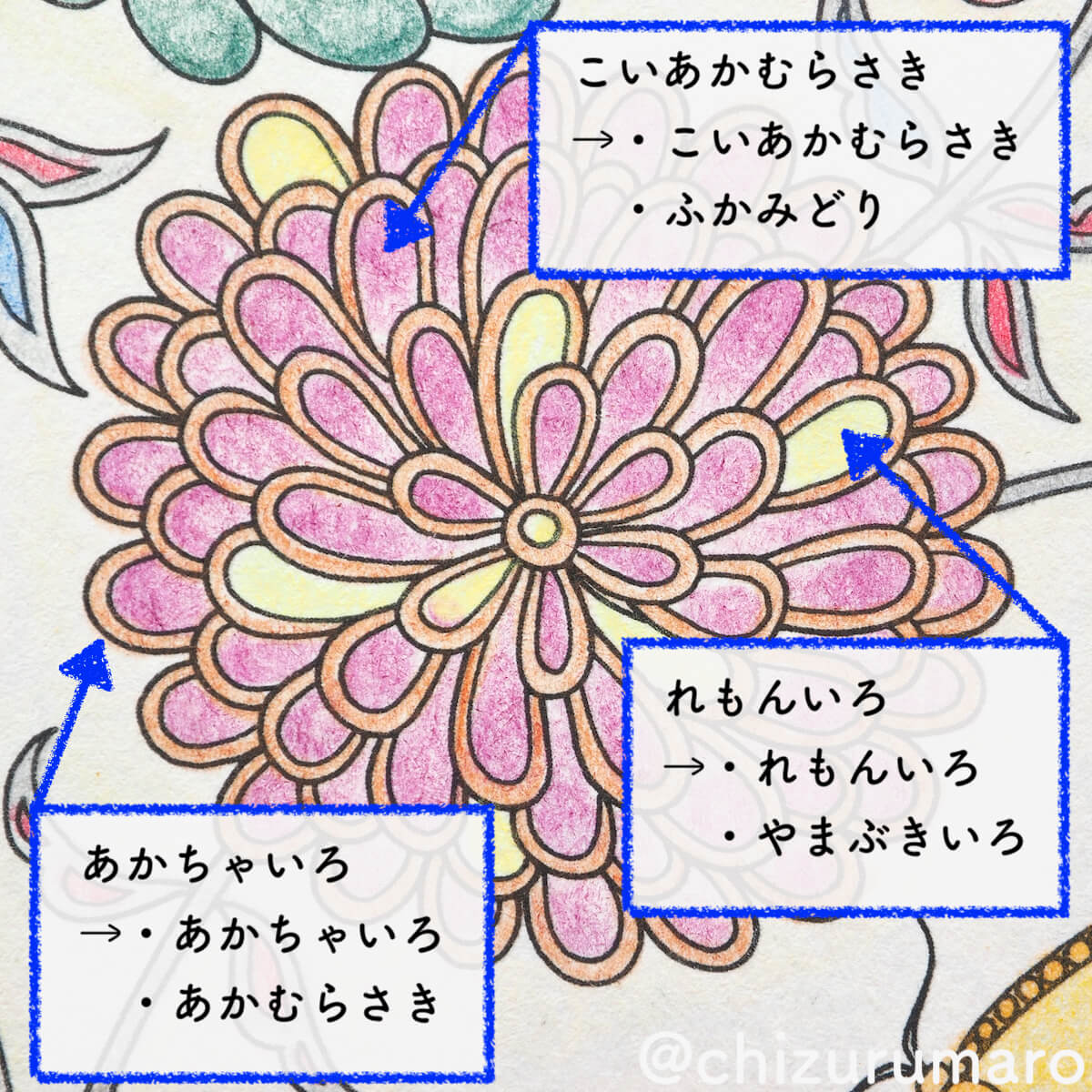 f:id:chizurumaro:20200422152337j:plain f:id:chizurumaro:20200422152337j:plain