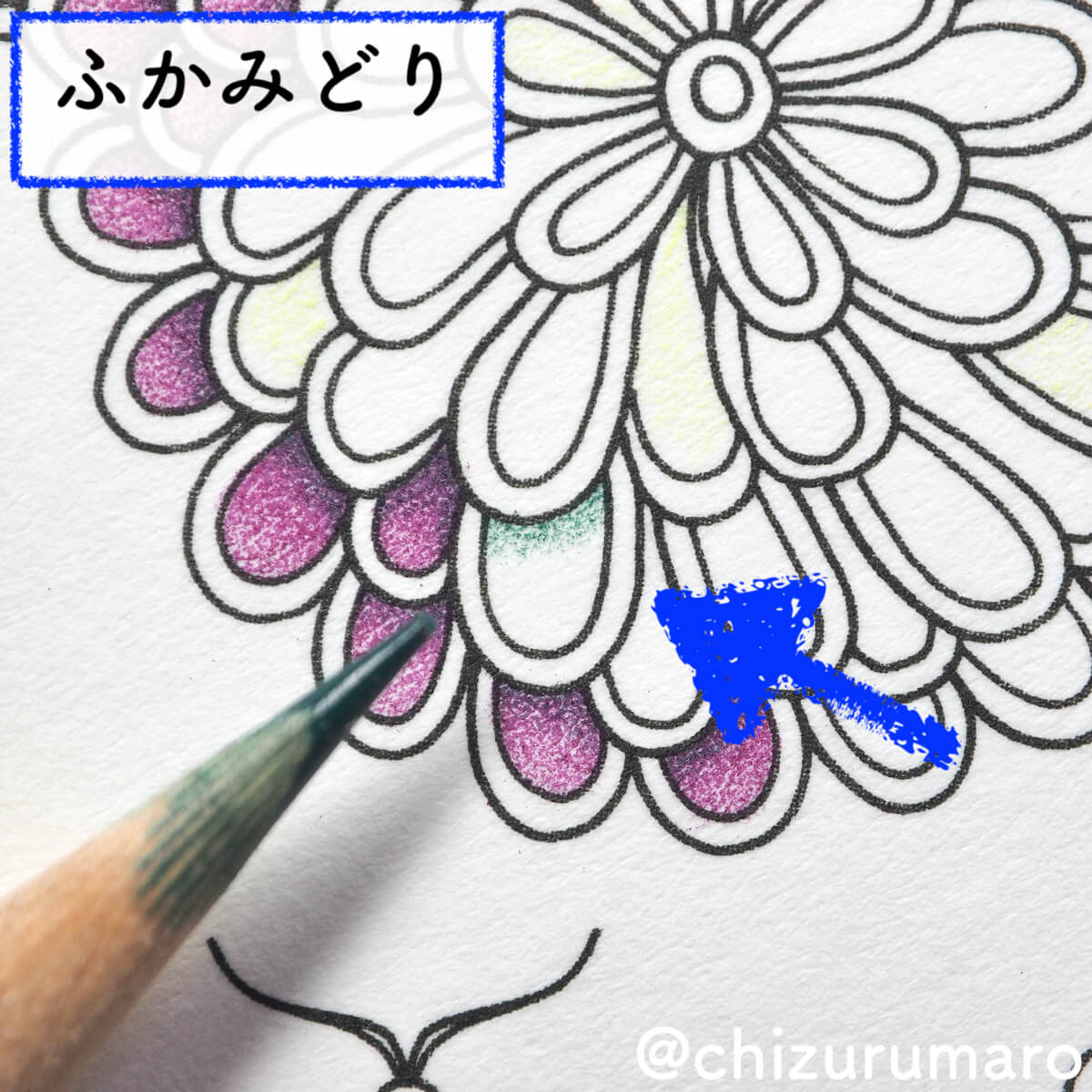 f:id:chizurumaro:20200422152539j:plain f:id:chizurumaro:20200422152539j:plain