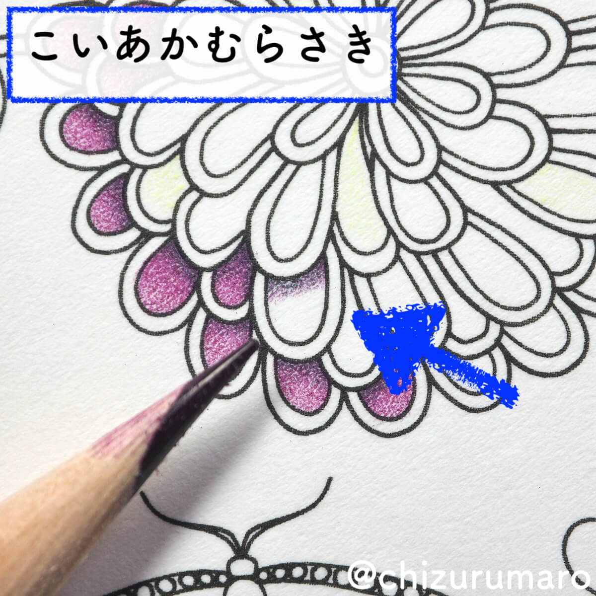 f:id:chizurumaro:20200422152553j:plain f:id:chizurumaro:20200422152553j:plain