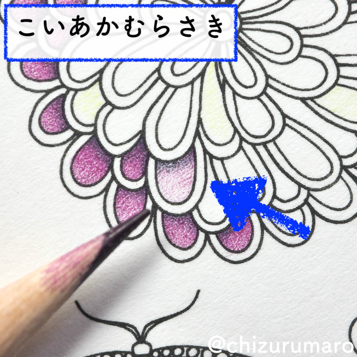 f:id:chizurumaro:20200422152611j:plain f:id:chizurumaro:20200422152611j:plain